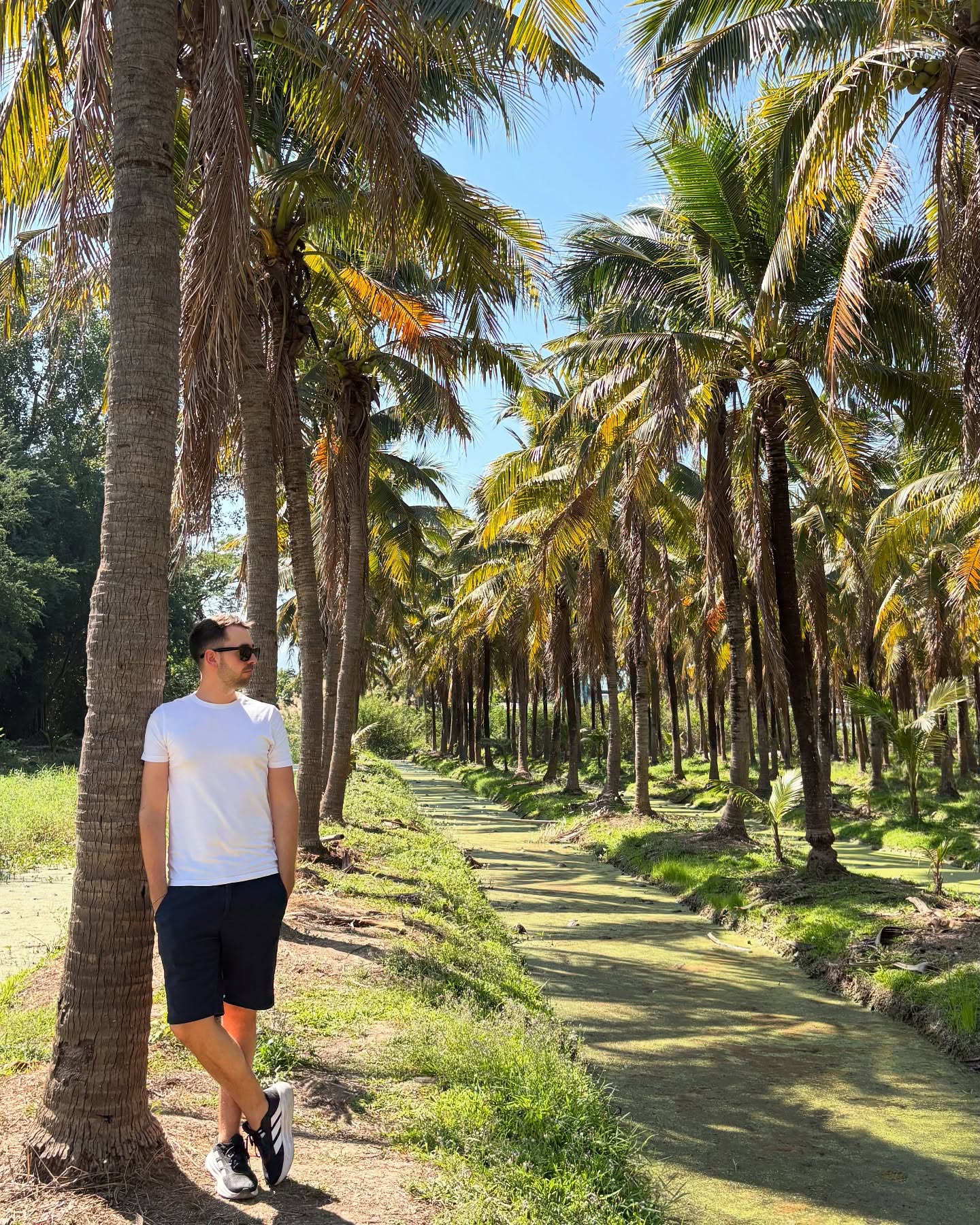 Costin Botez CEO Pixin